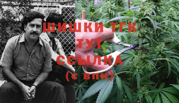 ешки Вязники