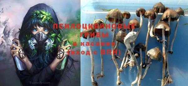 ешки Вязники