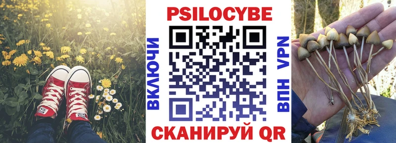 где продают наркотики Хасавюрт Псилоцибиновые грибы Psilocybine cubensis