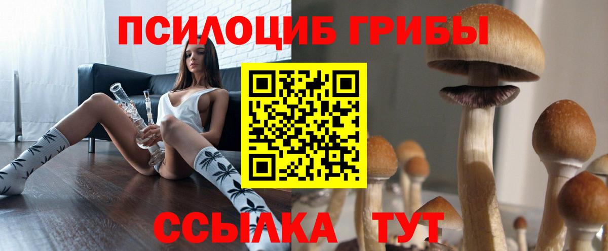 Псилоцибиновые грибы GOLDEN TEACHER  даркнет сайт  Хасавюрт  Вход с VPN 